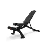 Bowflex 3.1S Verstellbare Hantelbank für Unisex-Erwachsene
