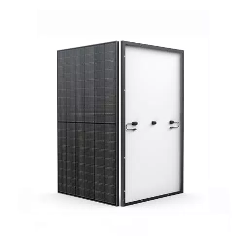 EcoFlow PowerStream Balkonkraftwerk mit Mikrowechselrichter und starren Monokristallinen Solarpanelen - App-Steuerung & Kompatibilität mit EcoFlow Powerstation und Smart Plug.