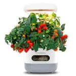 FAFAGRASS Hydroponisches Anzuchtsystem mit LED Pflanzlampe für drinnen