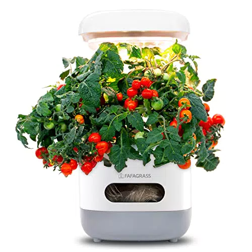 FAFAGRASS Hydroponisches Anzuchtsystem mit LED Pflanzlampe für drinnen