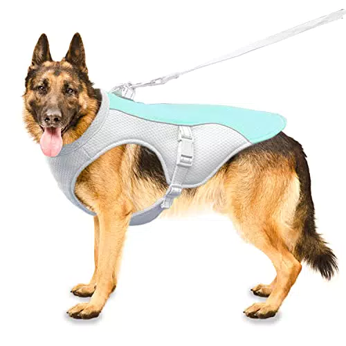 Fit Hundekühlweste - Verstellbare kühlende Hundejacke für alle Hunderassen