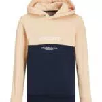 JACK&JONES JUNIOR Jjeryder Blocking Sweat Hoodie für Kinder