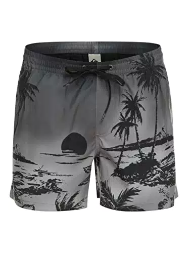 Quiksilver Everyday Paradise Schwimmshorts für Männer