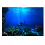 Aquarium Film Hintergrund Dekoration für die Wand - 76 * 46cm