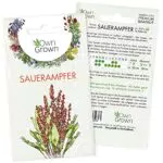 Gartenmelde Samen mehrjährig: Gartenmelde Saatgut zur Anzucht von 75 Kräuter Pflanzen Wildkräuter Samen Samen Gemüse Pflanze OwnGrown Seeds