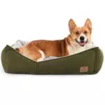 Joy of Living Hundebett für kleine und mittelgroße Hunde, waschbar und rutschfest