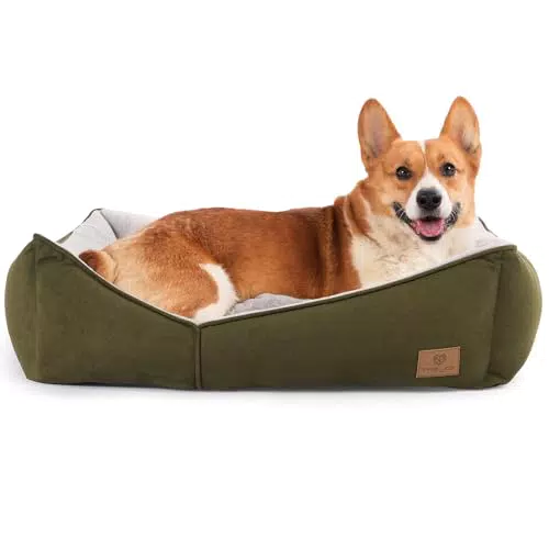 Joy of Living Hundebett für kleine und mittelgroße Hunde, waschbar und rutschfest