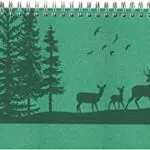 Nature Line Querkalender 2024 – Büro-Kalender mit Hardcover, 29,7x13,5 cm