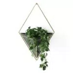 Umbra Trigg Wandvase & Geometrische Deko - Übertopf Für Zimmerpflanzen