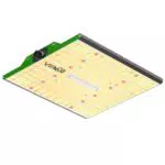 VIPARSPECTRA P1000 LED Grow Lampe Vollspektrum für Heimgrow Pflanzen