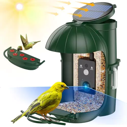 Cozion Vogelfutterspender mit Kamera und 1080P HD Aufnahmen für Wildvögel