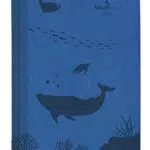 Alpha Edition Wochen-Minitimer Nature Line Ocean 2024 - A6 Taschenkalender