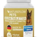 Gelenktabletten für Hunde – Hochwertige Gelenkunterstützung mit Grünlippmuschel und MSM
