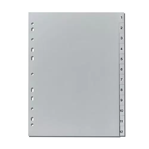Herlitz Register 1-12, 21 x 29,7 cm, PP, Eurolochung - Hochwertige Ablage