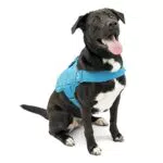 Kurgo RSG Townie Hundegeschirr mit einstellbaren Gurten für optimalen Sitz