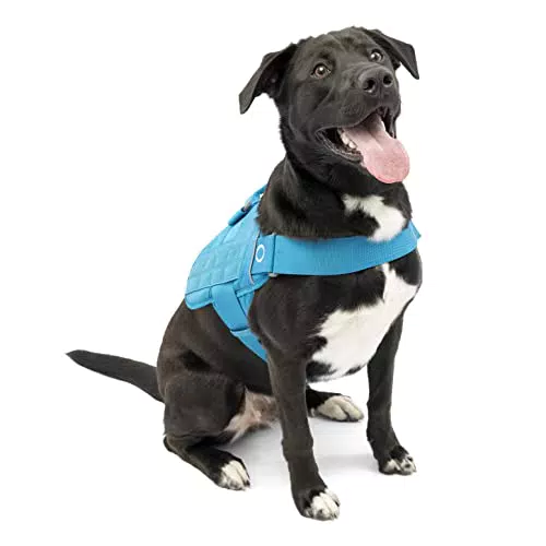 Kurgo RSG Townie Hundegeschirr mit einstellbaren Gurten für optimalen Sitz