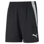 PUMA Kinder Teamliga Training Jr Shorts