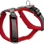 HUNTER Geschirr Maldon 60-91/M-