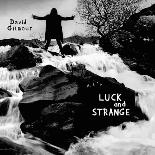 Luck and Strange - Vinyl LP