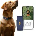 PAJ GPS Tracker für Hunde - 4G Live-Ortung und Weglaufalarme - Wasserdicht IP67