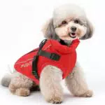 PetEoTllar Wasserdichter Hundemantel für Kleine Hunde – Warme Winterjacke mit Geschirr