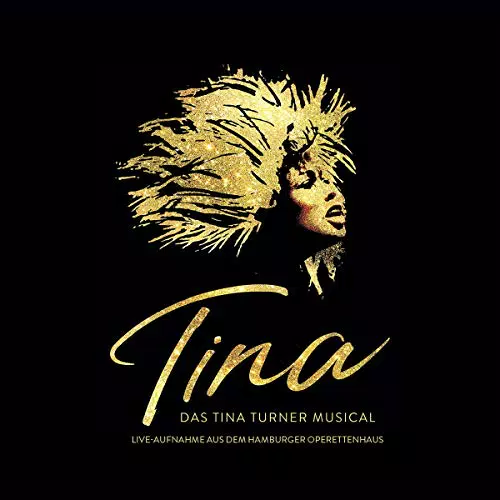 Tina Turner Musical – Erleben Sie die Faszination des Lebens der Legende