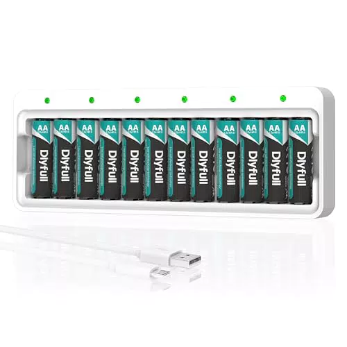 Dlyfull Akku Ladegerät für AA Ni-MH Akkus – Schnellladegerät 2800mAh