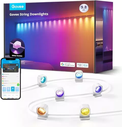 Govee Smart RGBIC Wandleuchte - Dimmbar, WiFi und Alexa kompatibel für Innenräume