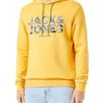 JACK&JONES JJJAMES Sweat Hood