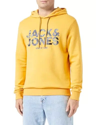 JACK&JONES JJJAMES Sweat Hood