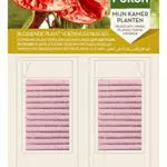 Pokon Düngerstäbchen für blühende Zimmerpflanzen mit Langzeitwirkung