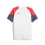 PUMA Herren Individualcup Jersey Fußballtrikot
