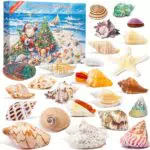 QianCannaor Adventskalender 2024 für Kristalle und Edelsteine – Wissenschaftliche Geschenke