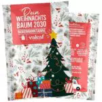 Valeaf Weihnachtsbaum Samen – Nordmanntanne für den eigenen Christbaum pflanzen