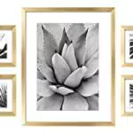 ArtbyHannah Fotorahmen Set mit botanischen Drucken für Poster und Kunstdrucke