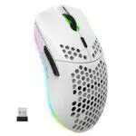 Gaming Maus Drahtlos, Ergonomisch, RGB, 2,4G, 750mAh Akku, 6 Tasten