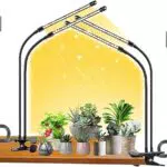 FRGROW Pflanzenlampe LED Vollspektrum für Zimmerpflanzen, dimmbar mit Timer