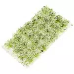 Healifty Landschaftsbau Modellbau Material für Miniatur Blumen und Pflanzen