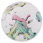 PUMA Herren Orbita 5 TB Hardbound Fußball
