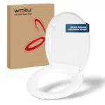 WOLTU Toilettendeckel mit Absenkautomatik und Schnellverschluss, O-Form