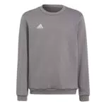 adidas Unisex Kids Sweatshirt Ent22 Sw Topy, Tegrfo