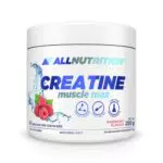 ALLNUTRITION Creatine Muscle Max Supplements Muskelaufbau - Creatin Monohydrat mit Taurin - Leistungssteigerung und Muskelaufbau - ohne Zuckerzusatz - Keratin Pulver Fitness 500g - ICE CANDY