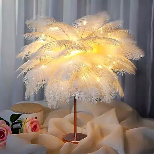 Cakkone Federlampe mit echten Straußenfedern und USB Aufladung