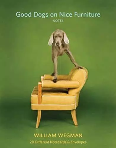 Chronicle Books Good Dogs Notizkarten und Umschläge für Tierliebhaber
