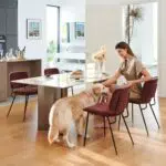 COLAMY Esszimmerstühle - Moderne Polsterstühle mit Metallbeinen für Essbereich