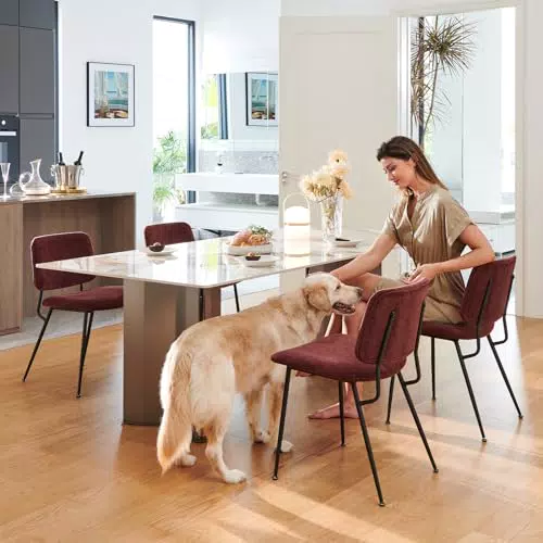 COLAMY Esszimmerstühle - Moderne Polsterstühle mit Metallbeinen für Essbereich