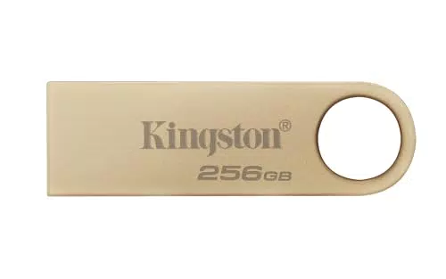 Kingston DataTraveler SE9 Gen 3 USB-Stick 256GB, 220MB/s Lesen, USB 3.2 Gen 1
