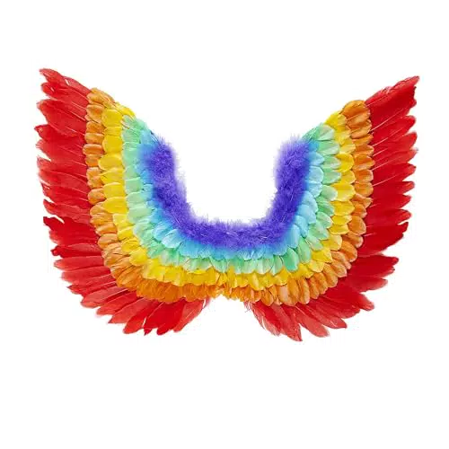 WIDMANN Milano Kostümzubehör - Gefiederte Flügel für Karneval und Mottoparty