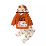 Borlai Baby Jungen Outfit Langarm Hoodie mit Dinosaurier-Prints für Neugeborene