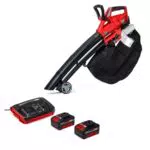Einhell Akku-Laubsauger Laubbläser GE-CL 36 Li E-Solo Power X-Change